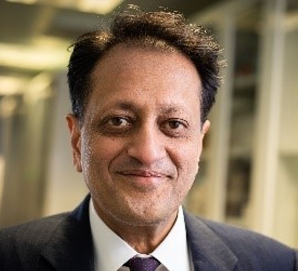 Professor Rajiv Jalan